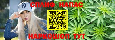 mdpv Славгород
