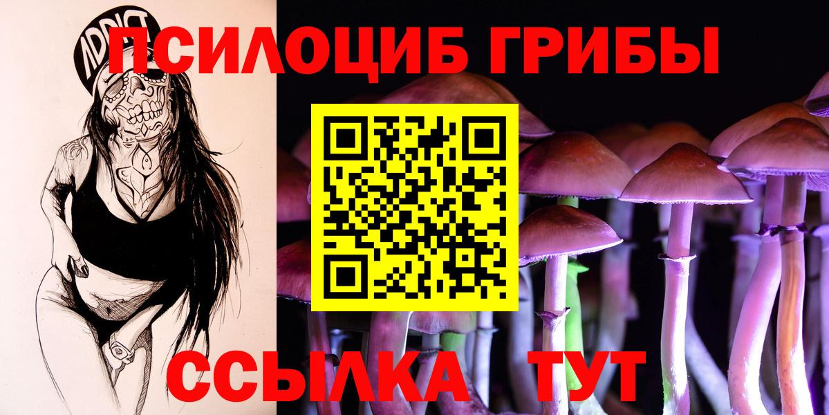 Галлюциногенные грибы мицелий  Вход с VPN  Шали 